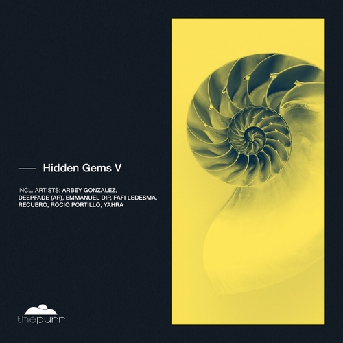 VA - Hidden Gems V [PURR329]